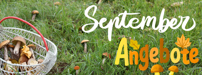 ▷ Sichern Sie sich diese beliebten Produkte zum Bestpreis!